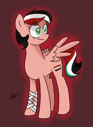 Size: 638x873 | Tagged: safe, artist:hetalianderpy, oc, oc only, nation ponies, ponified, solo, syria