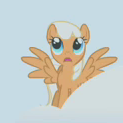 Size: 123x123 | Tagged: safe, screencap, pegasus, pony, sonic rainboom (episode), background pony, cream tangerine, cropped, female, mare, picture for breezies, solo