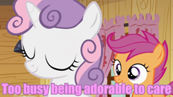 Size: 560x315 | Tagged: safe, screencap, scootaloo, sweetie belle, family appreciation day, image macro, meme, purple text