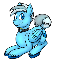 Size: 988x1070 | Tagged: safe, artist:deyogee, oc, oc only, oc:deyogee, collar, solo, unshorn fetlocks