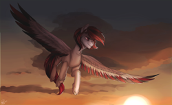 Size: 1024x626 | Tagged: safe, artist:orfartina, oc, oc only, pegasus, pony, cloud, colored wings, colored wingtips, flying, large wings, multicolored wings, sky, solo, spread wings, sunset, unshorn fetlocks, wings