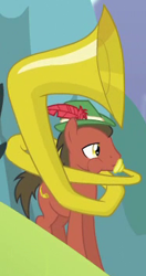 Size: 187x353 | Tagged: safe, screencap, three's a crowd, background pony, hill song, musical instrument, ricola, solo, sousaphone