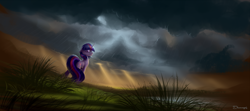 Size: 2300x1020 | Tagged: dead source, safe, artist:shamanguli, twilight sparkle, unicorn twilight, pony, unicorn, crepuscular rays, grass, lake, looking at you, rain, scenery, solo