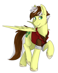 Size: 624x780 | Tagged: safe, artist:jeshh, oc, oc only, oc:silver lining, pegasus, pony, clothes