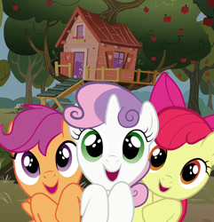 Size: 716x744 | Tagged: safe, apple bloom, scootaloo, sweetie belle, cutie mark crusaders, game, hasbro, official, quiz game