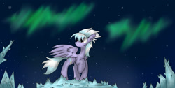 Size: 2000x1011 | Tagged: safe, artist:lycania29, cloudchaser, aurora borealis, ice, raised hoof, solo, spread wings