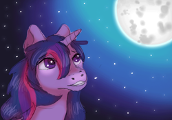 Size: 823x577 | Tagged: safe, artist:woolnoon, derpibooru import, twilight sparkle, commission, solo