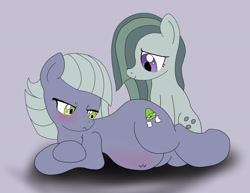 Size: 2349x1814 | Tagged: safe, artist:seenty, limestone pie, marble pie, earth pony, pony, female, grumpy, pregnant, sisters