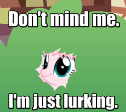 Size: 508x450 | Tagged: safe, artist:mixermike622, oc, oc only, oc:fluffle puff, bush, image macro, khuppkheighckes, lurking, meme, not creepy, reaction image, smiling, solo