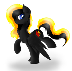 Size: 3768x3688 | Tagged: safe, artist:skajcia, oc, oc only, pegasus, pony, solo