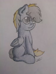 Size: 2448x3264 | Tagged: safe, artist:fluttair, oc, oc only, oc:thunderbolt, pegasus, pony, male, sitting, solo, traditional art