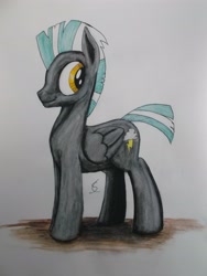 Size: 3216x4288 | Tagged: safe, artist:scribblepwn3, thunderlane, pegasus, pony, pen drawing, solo, traditional art, watercolor painting