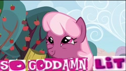 Size: 640x360 | Tagged: safe, edit, edited screencap, screencap, cheerilee, earth pony, pony, the super speedy cider squeezy 6000, apple, apple tree, black twitter, cider, cider mug, drunk, expand dong, exploitable meme, female, food, lit, mare, meme, mug, smiling, sweet apple acres, tree, vulgar, wrong eye color