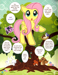 Size: 865x1107 | Tagged: safe, artist:akira himekawa, derpibooru import, fluttershy, twilight sparkle, pegasus, pony, manga, official, translation