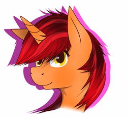 Size: 2571x2429 | Tagged: safe, artist:php102, oc, oc only, oc:paint star, bust, commission, my little pony, portrait