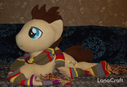 Size: 1440x986 | Tagged: safe, artist:lanacraft, doctor whooves, pony, irl, male, photo, plushie, solo, stallion