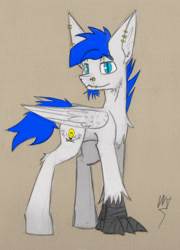 Size: 2673x3707 | Tagged: safe, artist:wingedthoughts, oc, oc only, oc:wingedthoughts, hippogriff, digital art, grabby boi, piercing, solo, talons, traditional art