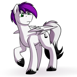 Size: 2000x2000 | Tagged: safe, artist:rubywave32, oc, oc only, pegasus, pony, male, solo, stallion, unshorn fetlocks