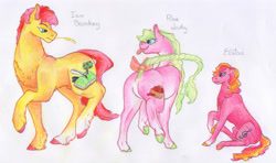 Size: 5472x3240 | Tagged: safe, artist:dawn22eagle, oc, oc only, oc:bardsey, oc:elstar, oc:pink lady, earth pony, pony, next generation, offspring, parent:big macintosh, parent:cheerilee, parents:cheerimac, traditional art