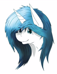 Size: 3771x4947 | Tagged: safe, artist:php102, oc, oc only, bust, commission, my little pony, portrait, solo