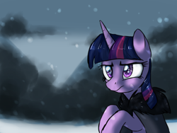 Size: 1024x768 | Tagged: safe, artist:not-ordinary-pony, twilight sparkle, snow, snowfall, solo, twilight starkle, winter