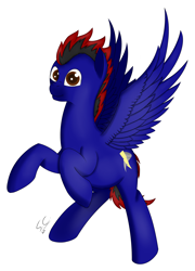 Size: 2064x2872 | Tagged: safe, artist:speed-chaser, oc, oc only, oc:speed chaser, pegasus, pony, solo