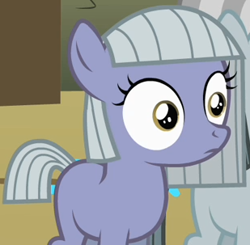 Size: 309x303 | Tagged: safe, screencap, limestone pie, marble pie, earth pony, pony, the cutie mark chronicles, cropped, female, filly, solo focus, thousand yard stare, wide eyes