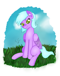 Size: 3102x3912 | Tagged: safe, artist:speed-chaser, oc, oc only, oc:lilacsparks, pegasus, pony, solo