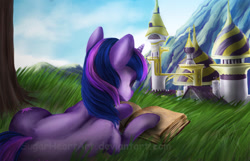 Size: 800x516 | Tagged: safe, artist:sugarheartart, twilight sparkle, friendship is magic, book, canterlot, prone, scene interpretation, solo