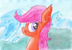 Size: 3000x2063 | Tagged: artist needed, safe, scootaloo, bust, portrait, solo, traditional art