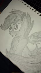 Size: 2340x4160 | Tagged: safe, artist:_vinyl, derpibooru import, scootaloo, sketch, solo