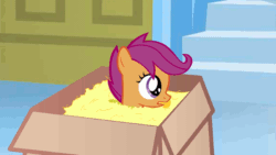 Size: 640x360 | Tagged: safe, artist:endendragon, scootaloo, pony, animated, box, chewing, packing peanuts, pony in a box, solo, youtube link