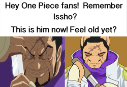 Size: 2039x1401 | Tagged: safe, artist:causticeichor, crossover, feel old yet?, fujitora, issho, meme, one piece, text