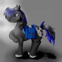 Size: 3000x3000 | Tagged: safe, artist:chovexani, oc, oc only, oc:fateful destiny, pony, appaloosa, bedroom eyes, freckles, male, raised hoof, saddle, saddle bag, smiling, solo, stallion