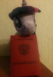 Size: 1024x1464 | Tagged: artist needed, safe, twilight sparkle, irl, photo, plushie, russian