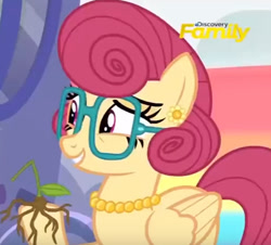 Size: 454x411 | Tagged: safe, screencap, posey shy, pony, flutter brutter, discovery family logo