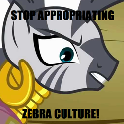 Size: 508x509 | Tagged: safe, edit, edited screencap, screencap, zecora, zebra, angry, caption, cultural appropriation, female, op is a cuck, op is trying to start shit, solo