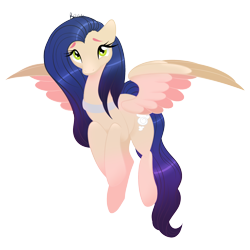 Size: 2000x2000 | Tagged: safe, artist:orcakisses, oc, oc only, pegasus, pony, necklace, simple background, transparent background, vector