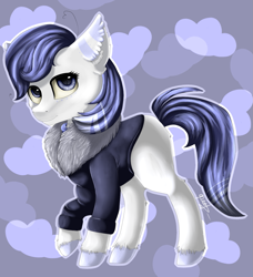 Size: 1353x1485 | Tagged: safe, artist:ognevitsa, oc, oc only, clothes, signature, solo, unshorn fetlocks