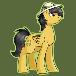 Size: 500x498 | Tagged: safe, artist:rubywave32, daring do, missing accessory, solo, wings