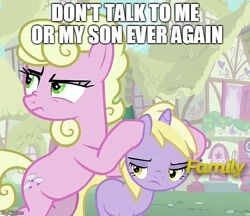 Size: 579x500 | Tagged: safe, edit, edited screencap, screencap, dinky hooves, millie, flutter brutter, caption, covering ears, cropped, discovery family logo, don't talk to me or my son ever again, exploitable meme, image macro, meme, nose wrinkle, peeved