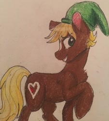 Size: 2268x2508 | Tagged: safe, artist:snowfoxythefox, quarter hearts, earth pony, pony, flutter brutter, colored pencil drawing, colored sketch, crossover, epona, female, link, mare, ponified, rupee, solo, the legend of zelda, traditional art