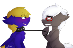 Size: 2605x1741 | Tagged: safe, artist:oddends, oc, oc only, oc:black forest, oc:cloud quake, pony, collar, gay, glasses, grin, leash, male, simple background, smiling, stallion, transparent background