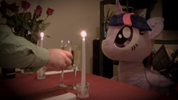 Size: 1920x1080 | Tagged: safe, artist:plushwaifus, photographer:corpulentbrony, /mlp/, 4chan, bread, candle, candlelight, champagne, corpulent brony, flower, food, hearts and hooves day, irl, life size, photo, plushie, rose, toast, valentine, valentine's day, waifu, waifu dinner