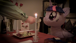 Size: 1920x1080 | Tagged: safe, artist:plushwaifus, photographer:corpulentbrony, /mlp/, 4chan, candle, candlelight, champagne, chocolate, chocolates, corpulent brony, feeding, flower, food, hearts and hooves day, irl, life size, meme, photo, plushie, present, rose, salad, valentine, valentine's day, valentine's day card, waifu, waifu dinner