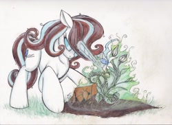 Size: 2338x1701 | Tagged: safe, artist:scribblepwn3, oc, oc only, oc:azura moonflower, pony, unicorn, magic, pen drawing, solo, traditional art, watercolor painting