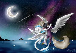 Size: 5714x4004 | Tagged: safe, artist:themagicfantasy, derpibooru import, oc, oc only, oc:digital dusk, oc:star seeker, pony, absurd resolution, moon, night