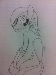 Size: 1936x2592 | Tagged: safe, artist:mraxelrod149, derpibooru import, oc, oc only, oc:firebolt, pegasus, pony, spider, blushing, lined paper, male, monochrome, nervous, nose wrinkle, pencil drawing, traditional art