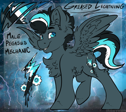 Size: 1872x1660 | Tagged: safe, artist:iroxykun, derpibooru import, oc, oc only, oc:greased lightning, pegasus, pony, cutie mark, male, reference sheet, solo, stallion, wings