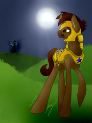 Size: 1024x1365 | Tagged: safe, artist:hurricane-danni, derpibooru import, oc, oc:sunwalker, changeling, royal guard